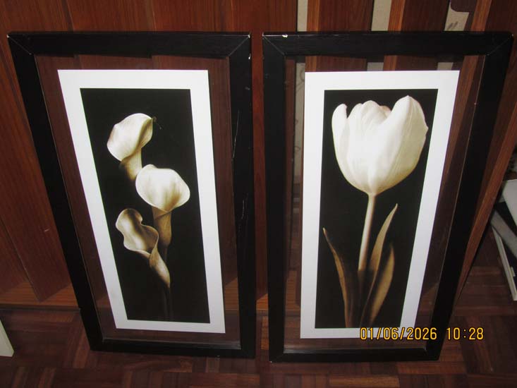 QUADROS E GRAVURAS