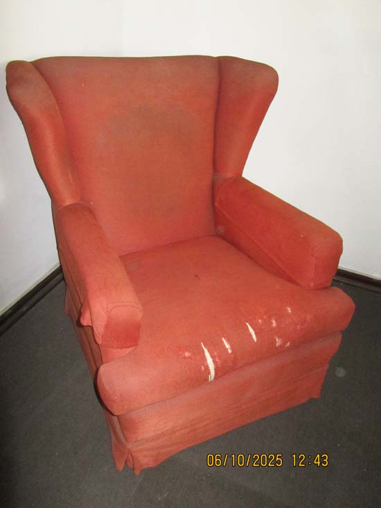 POLTRONAS DE BRACO