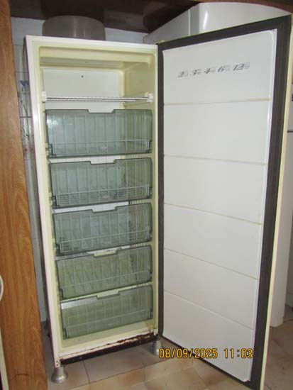 FREEZER BRASTEMP