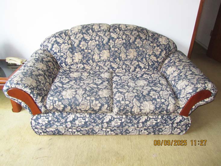 SOFAS 2 LUGARES AZUIS