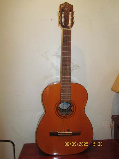 VIOLAO DI GIORGIO