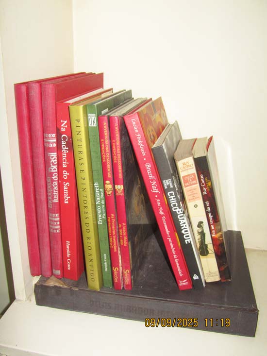 LIVROS E LPS