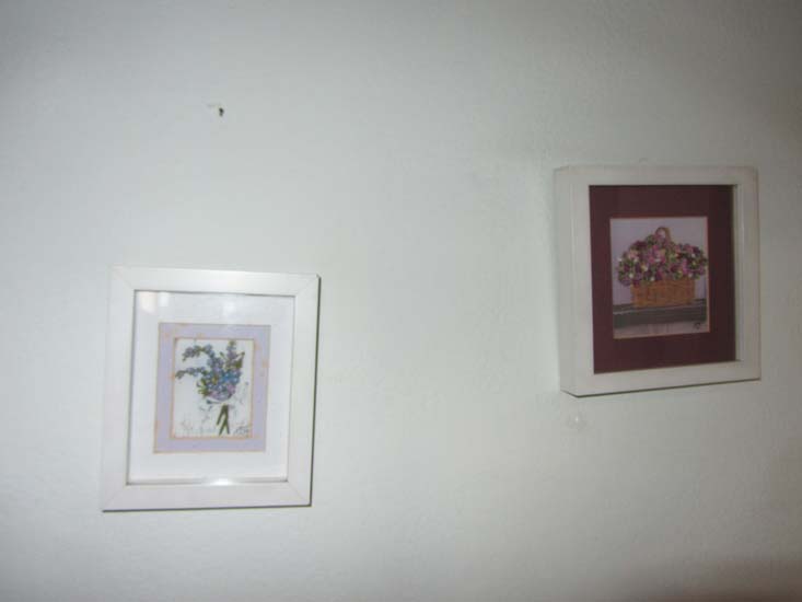 QUADROS E GRAVURAS