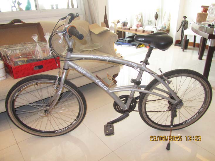 BICICLETA CALOI