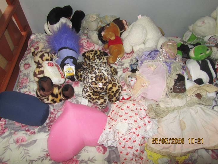 BRINQUEDOS VARIADOS