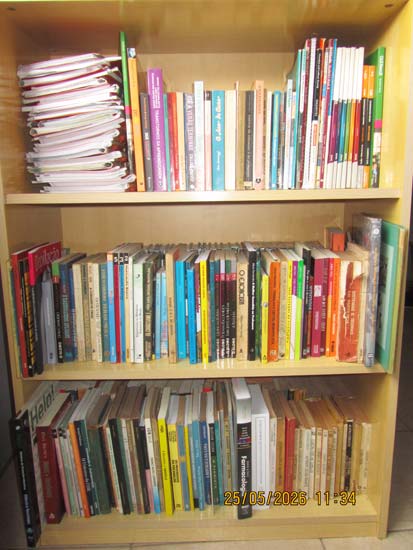 LIVROS CDS E DVDS