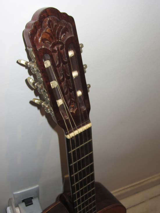 VIOLAO DI GIORGIO