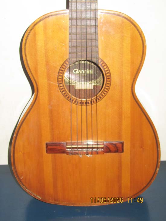 VIOLAO GIANNINI