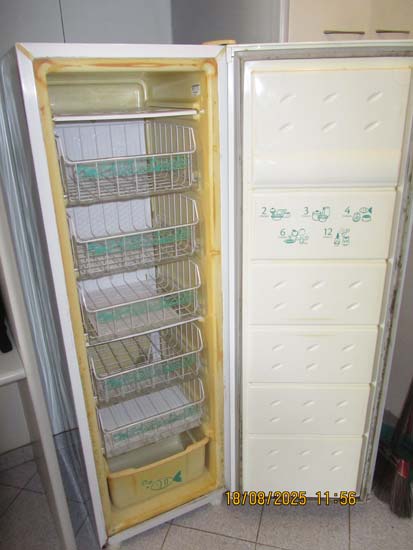 FREEZER CONSUL