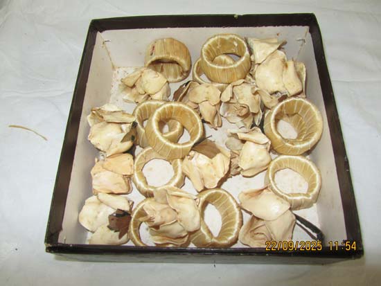 OBJETOS VARIADOS