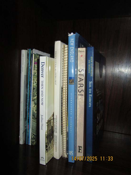 LIVROS CDS DVDS E LPS