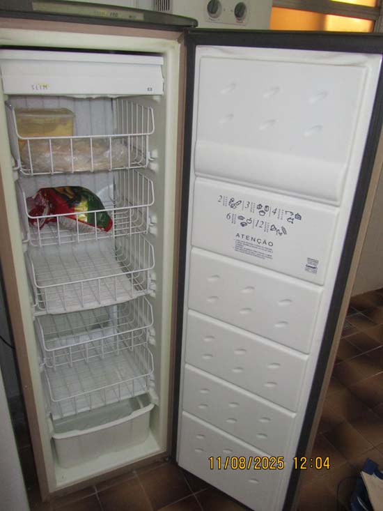 FREEZER CONSUL