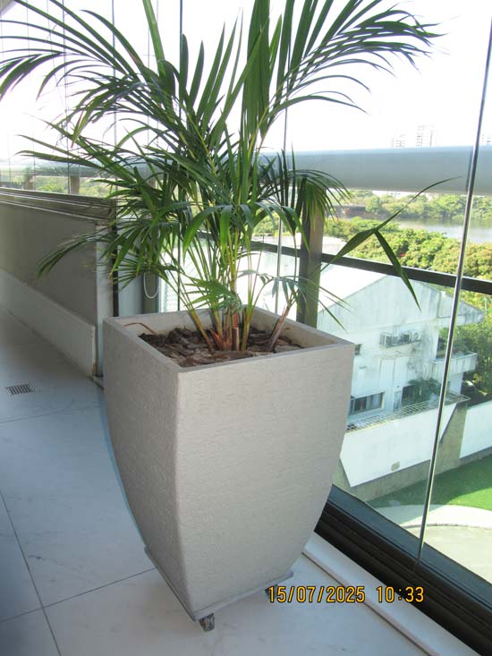 VASOS DE PLANTA