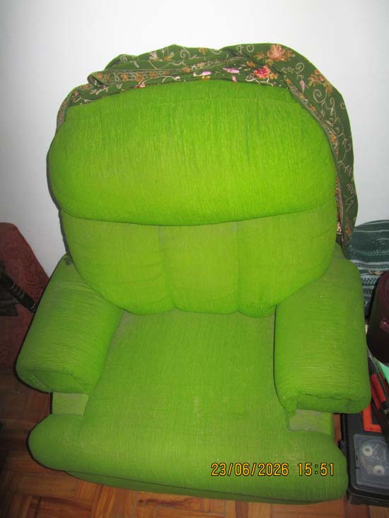 POLTRONA CAMA BRACO VERDE